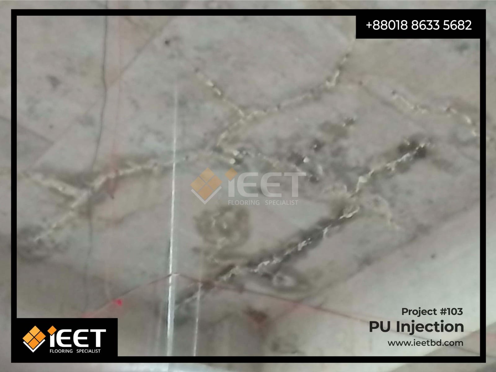 Project Image 4